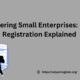 Empowering Small Enterprises Udyam Registration Explained