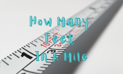 Feet in a Mile